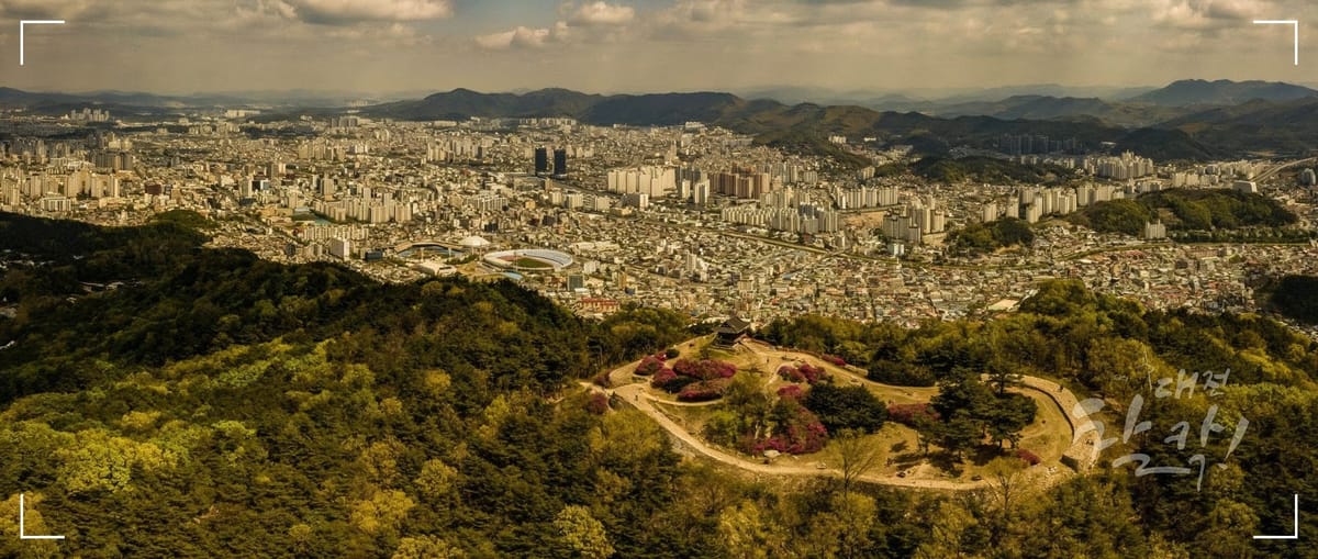 대전 중구 로컬 뉴스레터 2회: 대전은 정말 '성심당의 도시'일까? (2부)