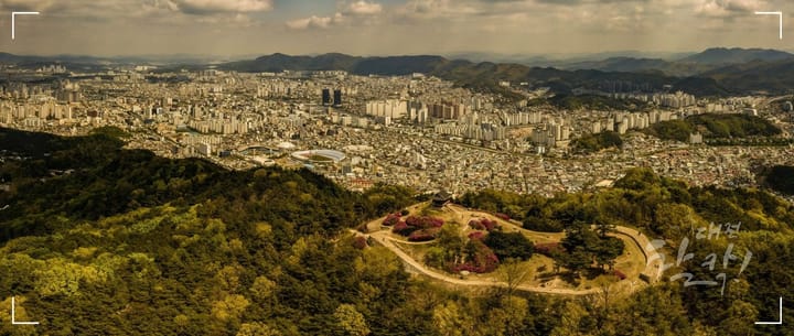 대전 중구 로컬 뉴스레터 2회: 대전은 정말 '성심당의 도시'일까? (2부)