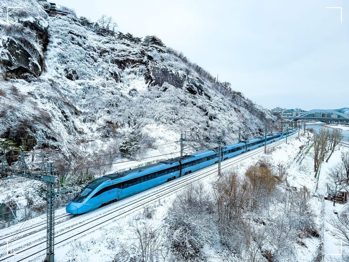 대전 중구 로컬 뉴스레터 4회: KTX와 의료관광이 만날 때 생겨나는 로컬의 미래